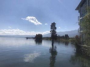 凝云渡屿,探寻神秘岛屿的奇幻之旅