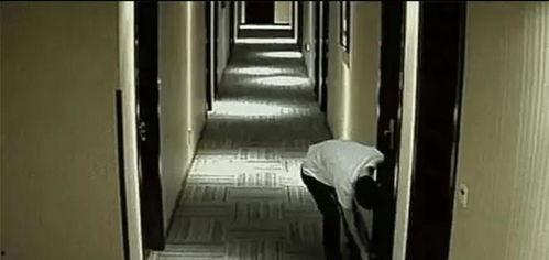 旅馆里的秘密,探寻不为人知的传奇故事