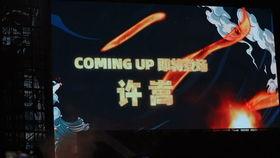 凤燕归巢,探寻传统文化与现代生活的交融之美